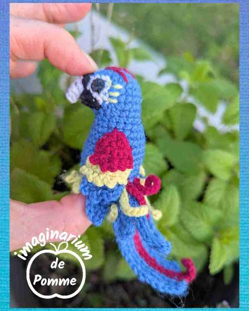 Petit perroquet